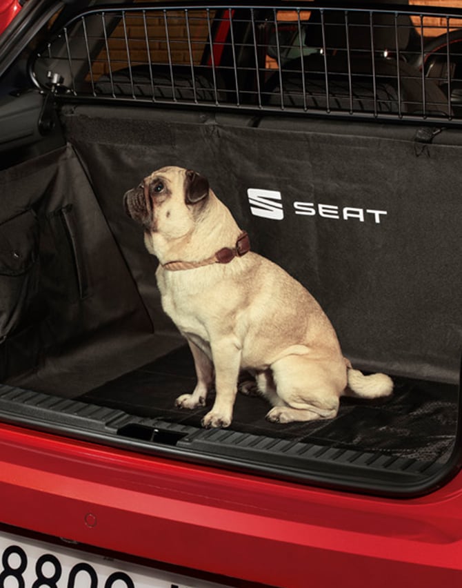 perro-sentado-seat-ibiza-asientos-asiento-arnés-para-perro