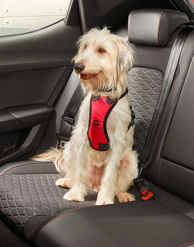 hombre poniendo el accesorio de coche SEAT compartimiento para el techo