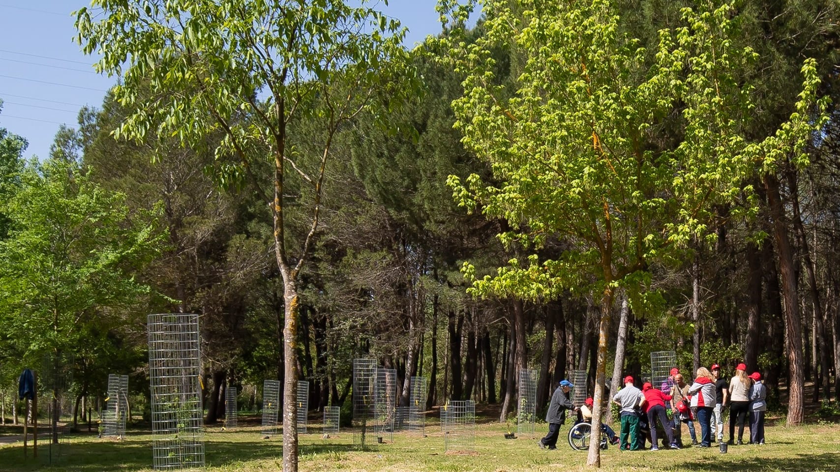 A sustainable factory SEAT forest