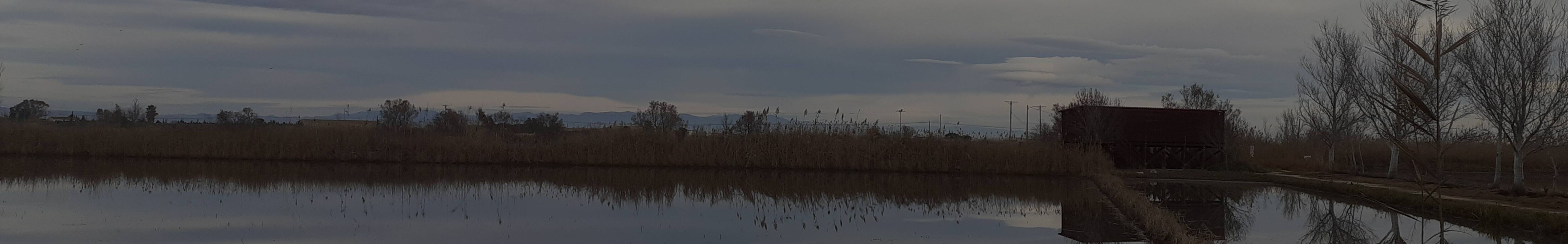 Nuestro compromiso con el medio ambiente.